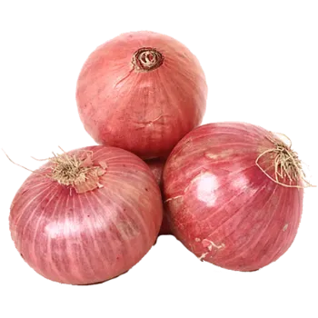 Onion (46)-6058969-29870.webp